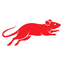 Silhouette rat
