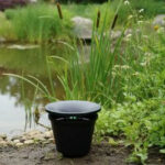 an in2care trap placed beside a pond