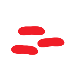 rodent dropping icon