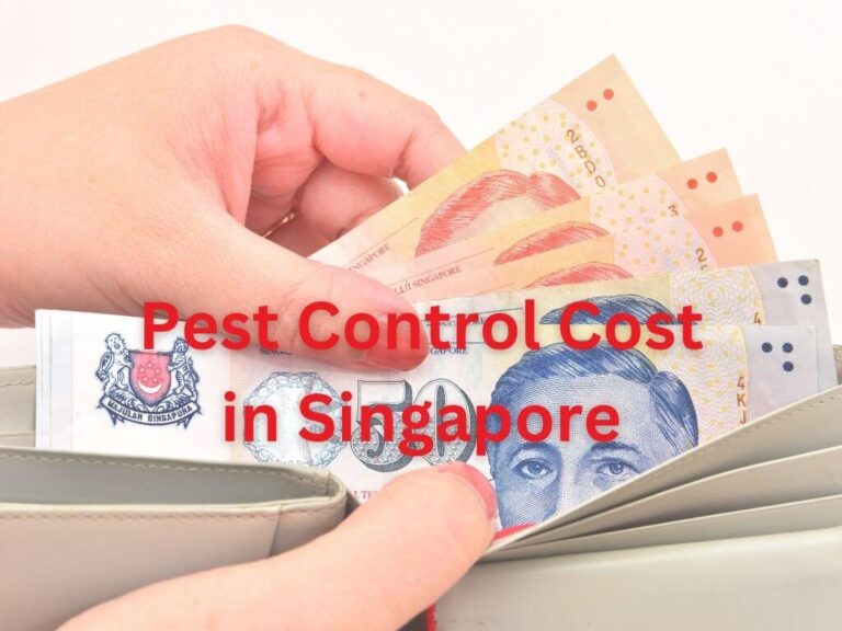 How Much Does Pest Control Cost in Singapore?