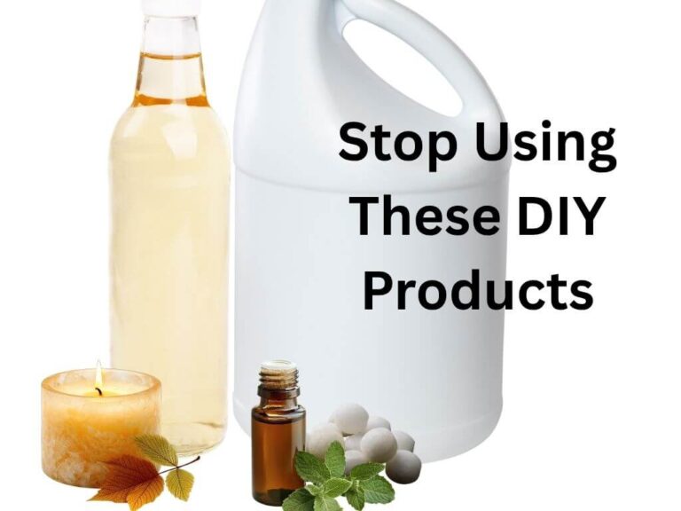 The 9 DIY Pest Control Remedies You Must Stop Using