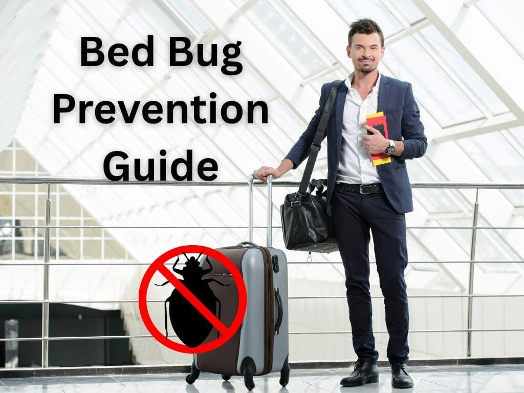 bed bug prevention guide