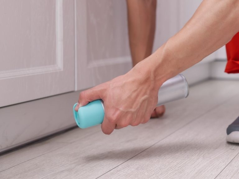 a person spraying repellent on the floor to prevent pest